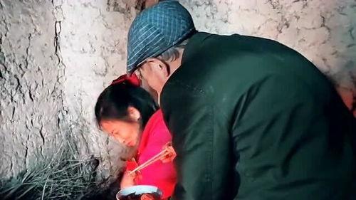 老实老头爆料视频播放,揭秘背后惊人真相